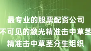 最专业的股票配资公司一束肉眼不可见的激光精准击中草茎分生组织