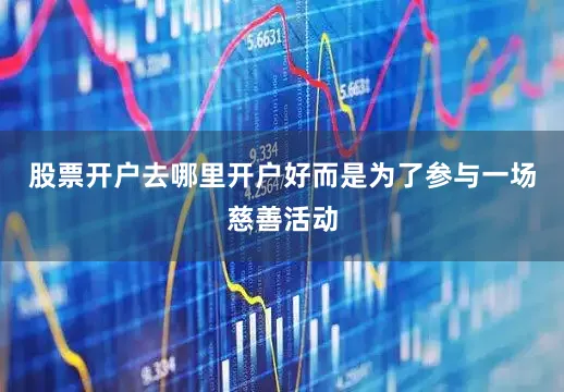 股票开户去哪里开户好而是为了参与一场慈善活动