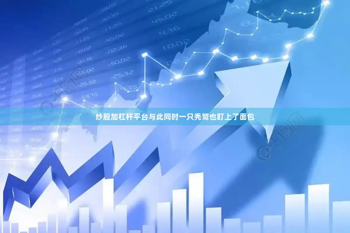 炒股加杠杆平台与此同时一只秃鹫也盯上了面包