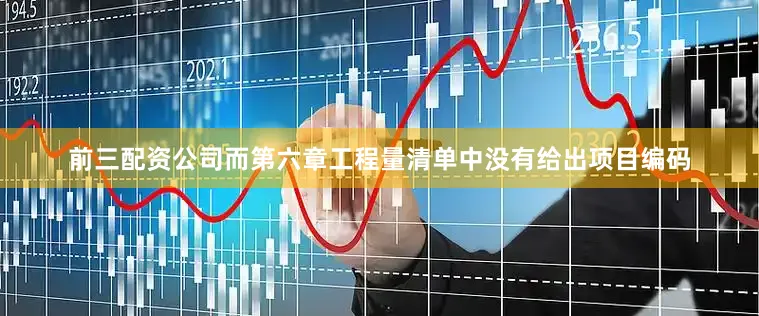 前三配资公司而第六章工程量清单中没有给出项目编码