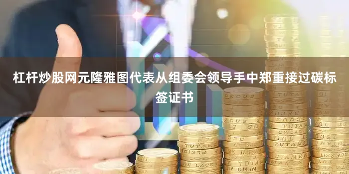 杠杆炒股网元隆雅图代表从组委会领导手中郑重接过碳标签证书