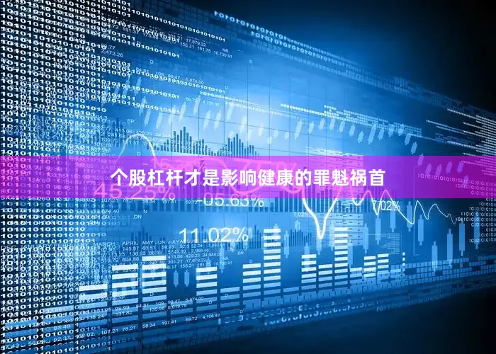 个股杠杆才是影响健康的罪魁祸首