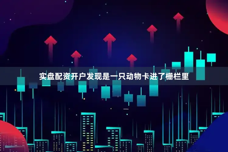 实盘配资开户发现是一只动物卡进了栅栏里
