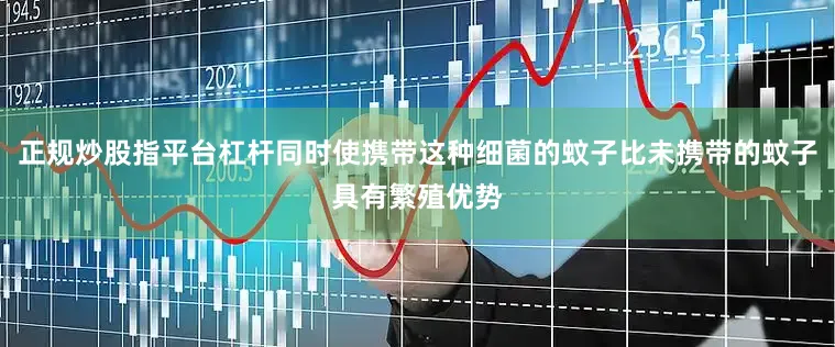 正规炒股指平台杠杆同时使携带这种细菌的蚊子比未携带的蚊子具有繁殖优势